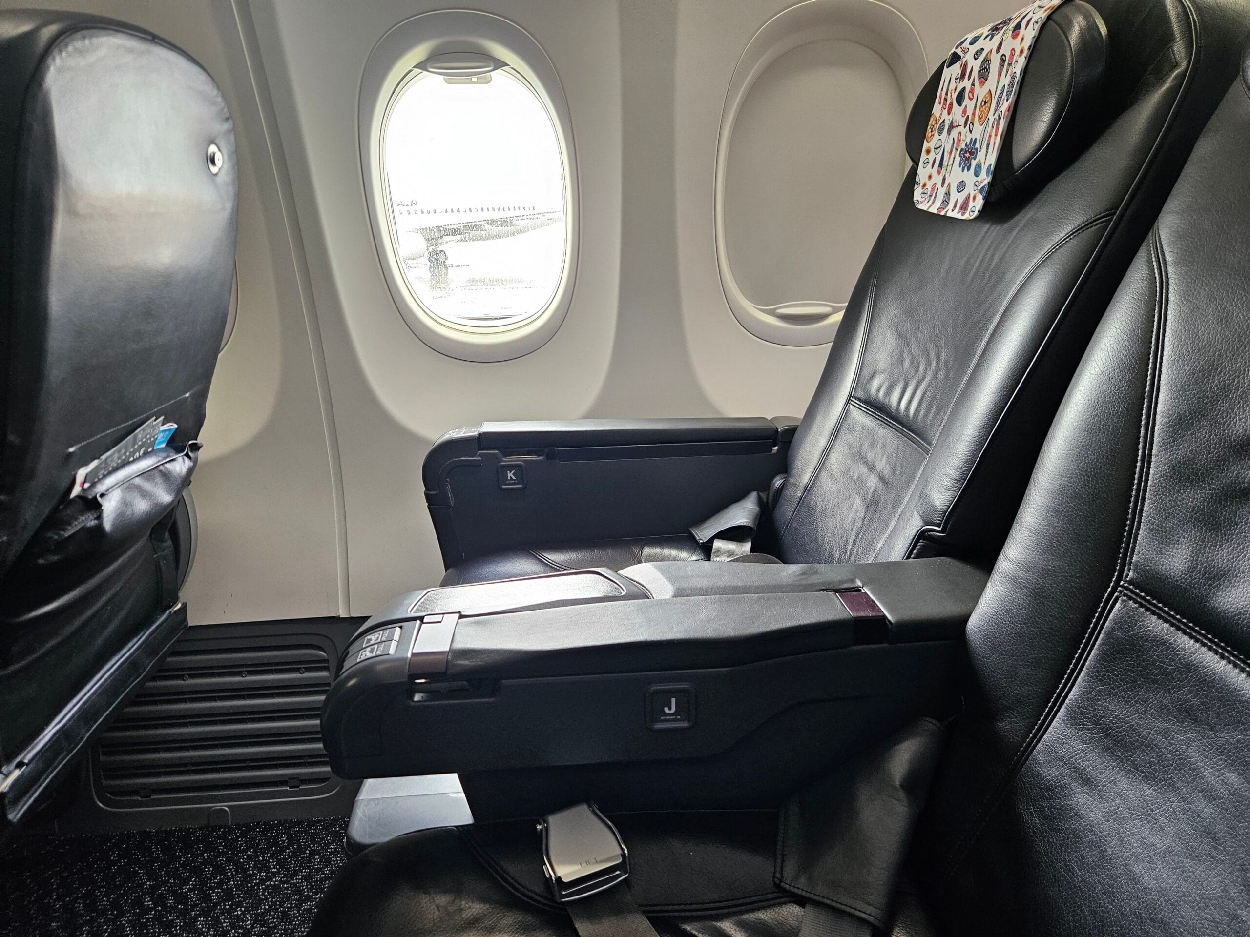 Japan Airlines 737-800 Seat Guide (2026)